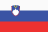 Slovenia Prva liga